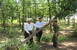 Triệu Phong: Triển khai phương án bảo vệ cây cao su trước mùa mưa bão 